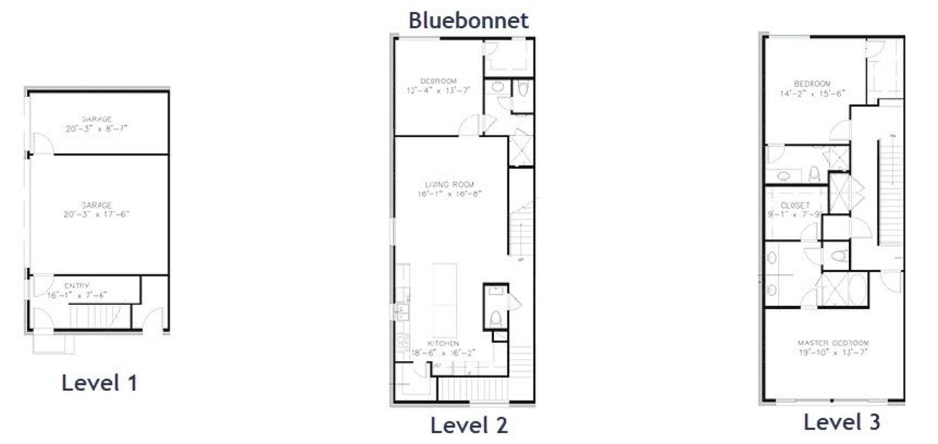 Bluebonnet