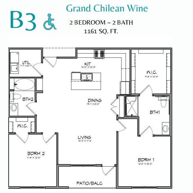 Grand Chilean Wine
