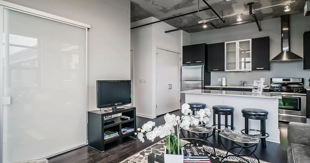 Roosevelt Collection Lofts 1135 S Delano Ct East, Chicago, IL 60605