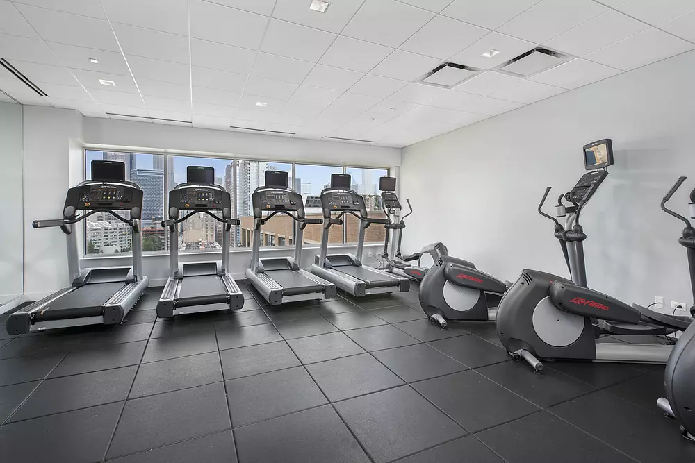 Roosevelt Collection Lofts 1135 S Delano Ct East, Chicago, IL 60605