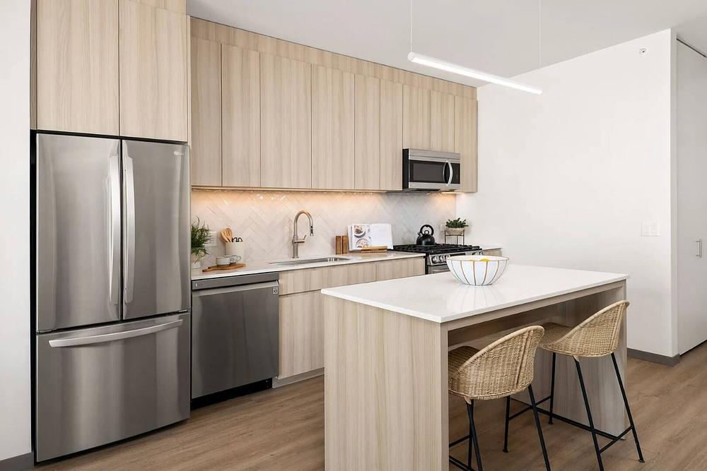 The Lydian 513 S Damen Ave, Chicago, IL 60612 Medical District - Leasing by Cross Street