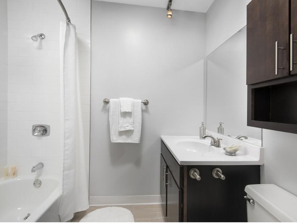 Chestnut Place 8 W Chestnut St, Chicago, IL 60610 Gold Coast - Leasing by Cross Street