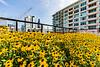 Circa 922 922 W Washington Blvd, Chicago, IL 60607