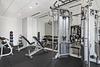 Roosevelt Collection Lofts 1135 S Delano Ct East, Chicago, IL 60605