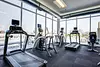 1313 Randolph Street Lofts 1313 W Randolph St, Chicago, IL 60607