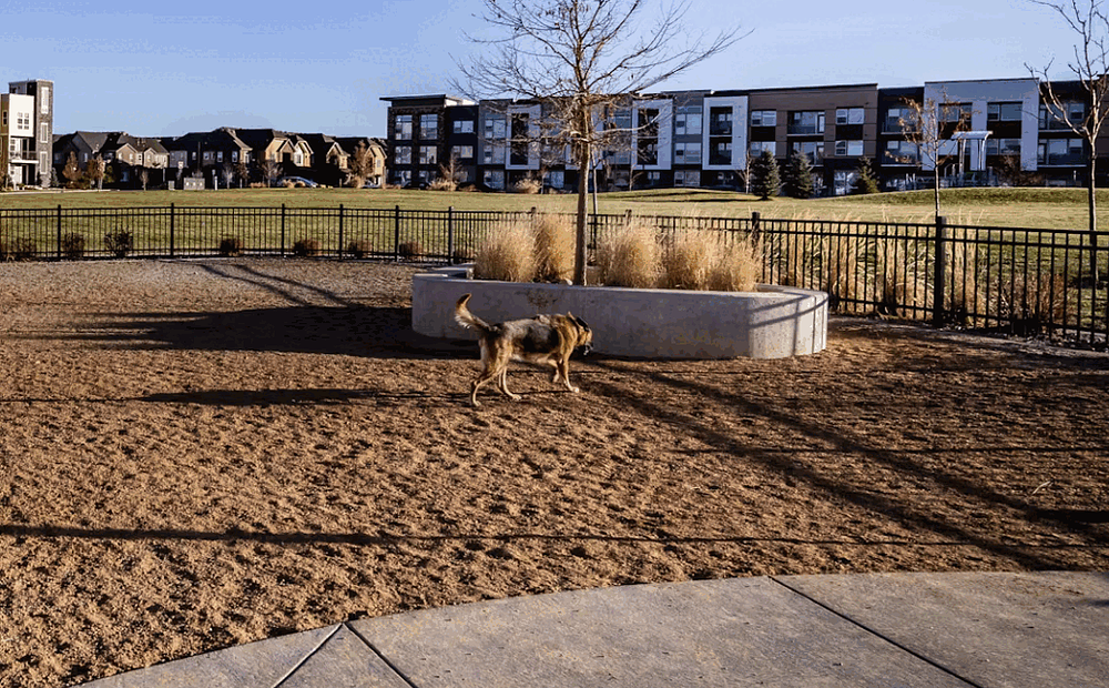 AMLI Littleton Village 399 E Dry Creek Rd, Littleton, CO 80122, Denver