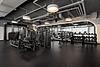 The Lydian 513 S Damen Ave, Chicago, IL 60612 Medical District - Leasing by Cross Street