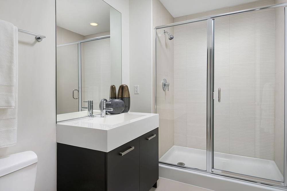 Roosevelt Collection Lofts 1135 S Delano Ct East, Chicago, IL 60605
