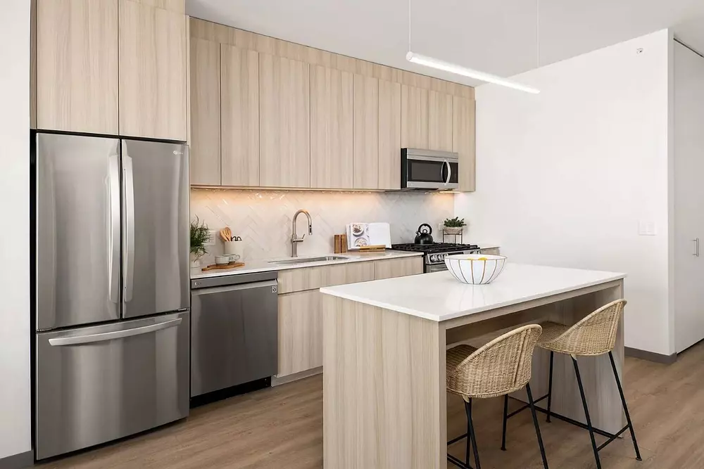 The Lydian 513 S Damen Ave, Chicago, IL 60612