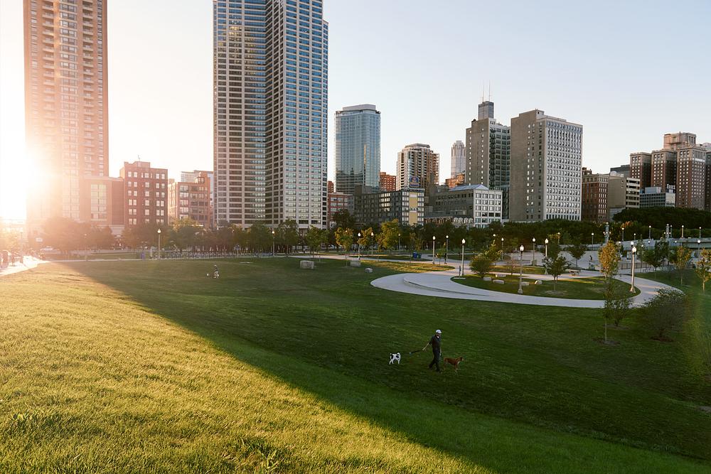 1000M 1000 S Michigan Ave, Chicago, IL 60605