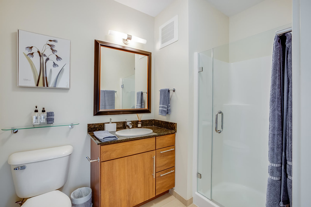 Flair Tower 222 W Erie St, Chicago, IL 60654