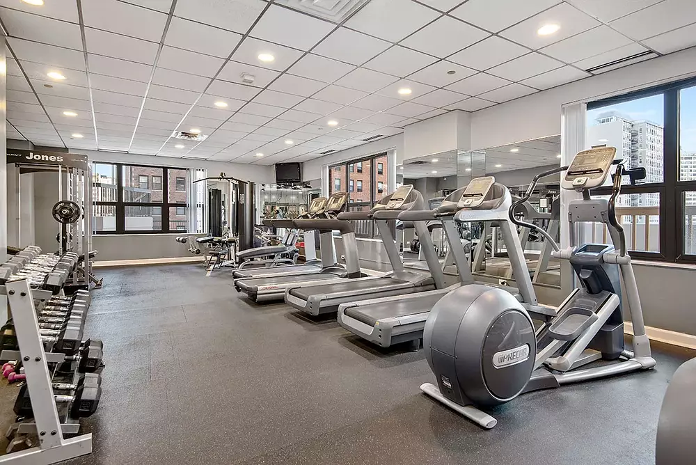 1133 North Dearborn 1133 N Dearborn St, Chicago, IL 60610