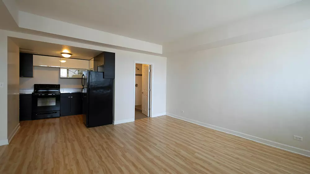 3130 N Lake Shore Drive 3130 N Lake Shore Dr, Chicago, IL 60657