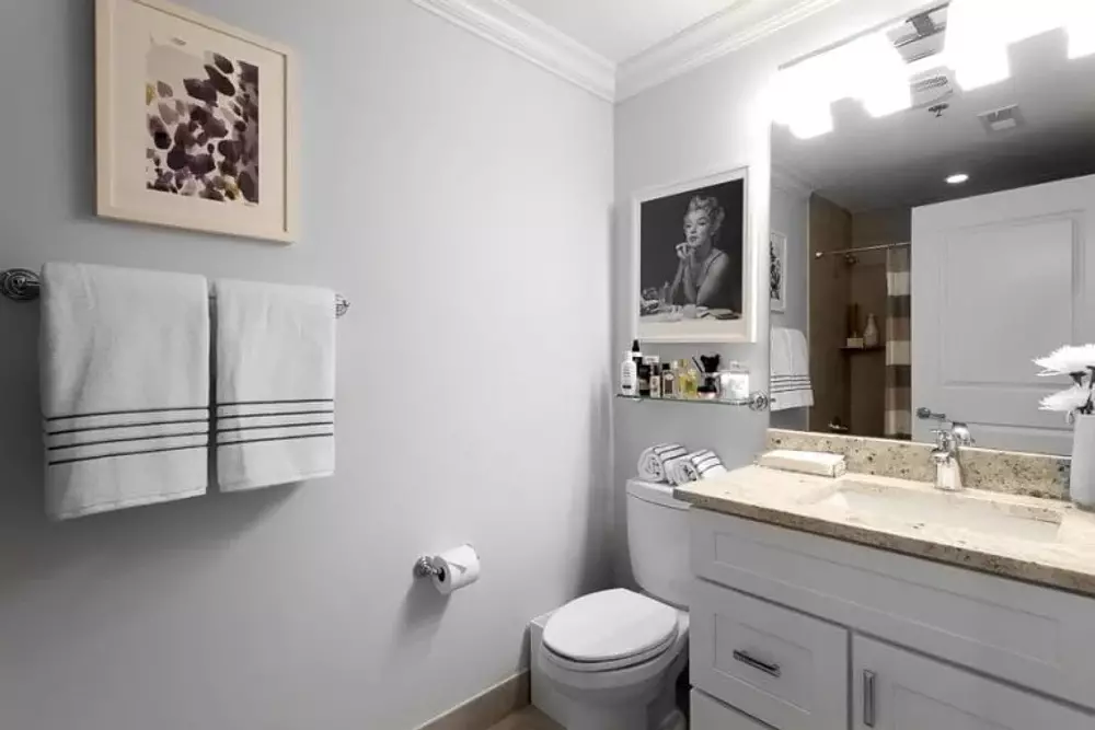 Wells Place Apartments 837-839 S Wells St, Chicago, IL 60607