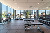 MiCA 2733 W Belden Ave, Chicago, IL 60647
