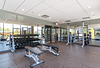 MiCA 2733 W Belden Ave, Chicago, IL 60647