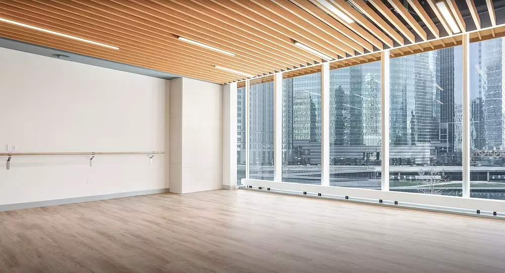 Wolf Point East 313 W Wolf Point Plaza Drive, Chicago, IL 60654