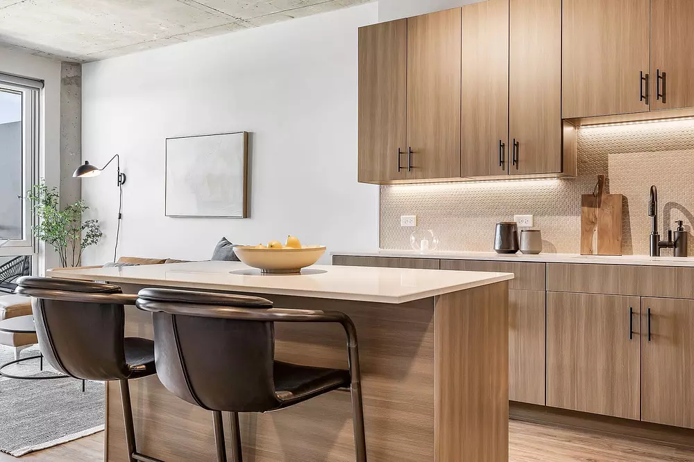 Cadence 2050 W Ogden Ave, Chicago, IL 60612