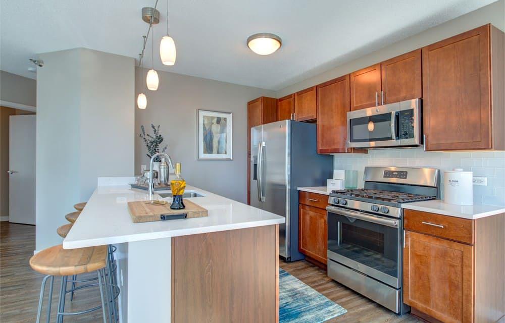 Atwater Apartments 355 E Ohio St, Chicago, IL 60611